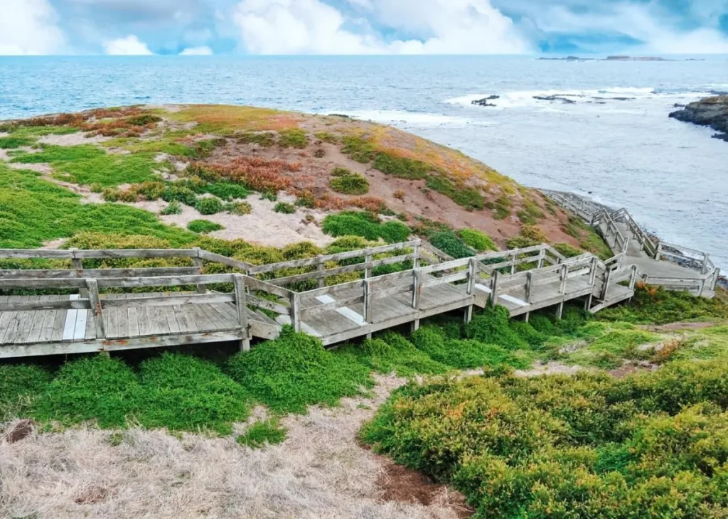 Phillip Island’s Stunning Beaches: A Beachgoer’s Paradise