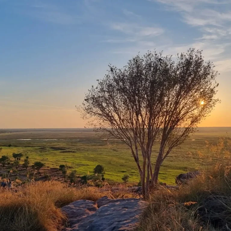 Getting to Kakadu National Park from Darwin: A Complete Guide