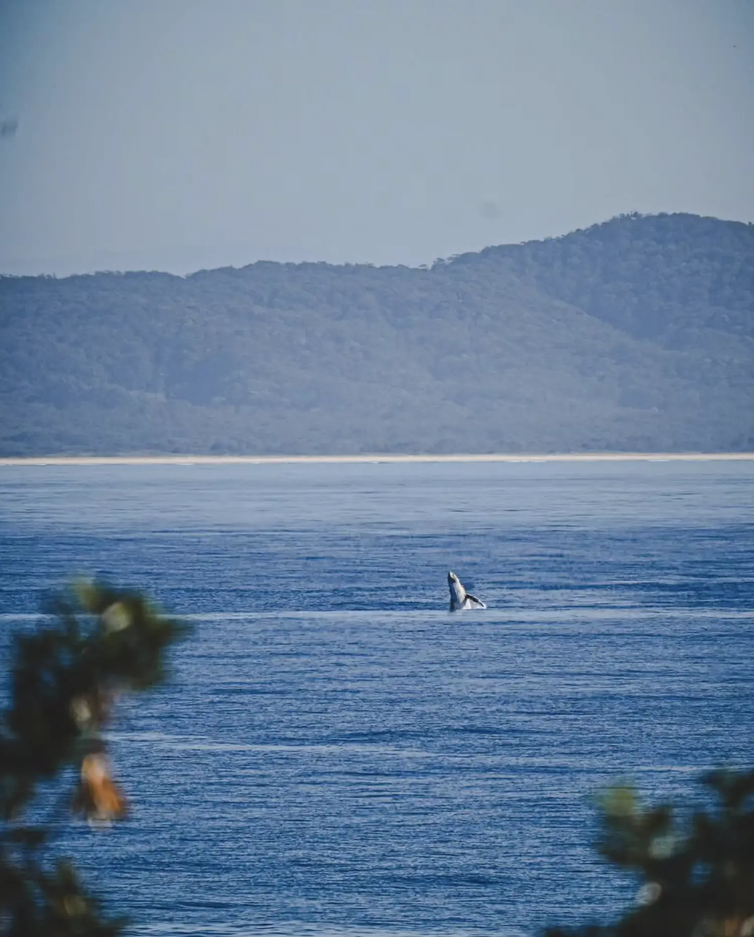 Great Ocean Road Bays