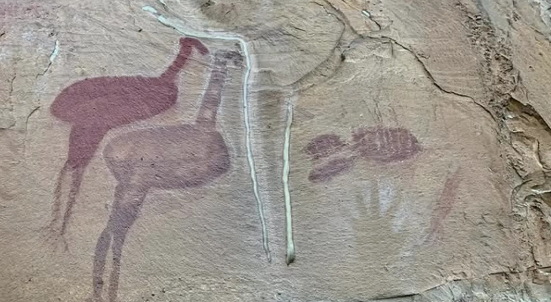Indigenous heritage Australia