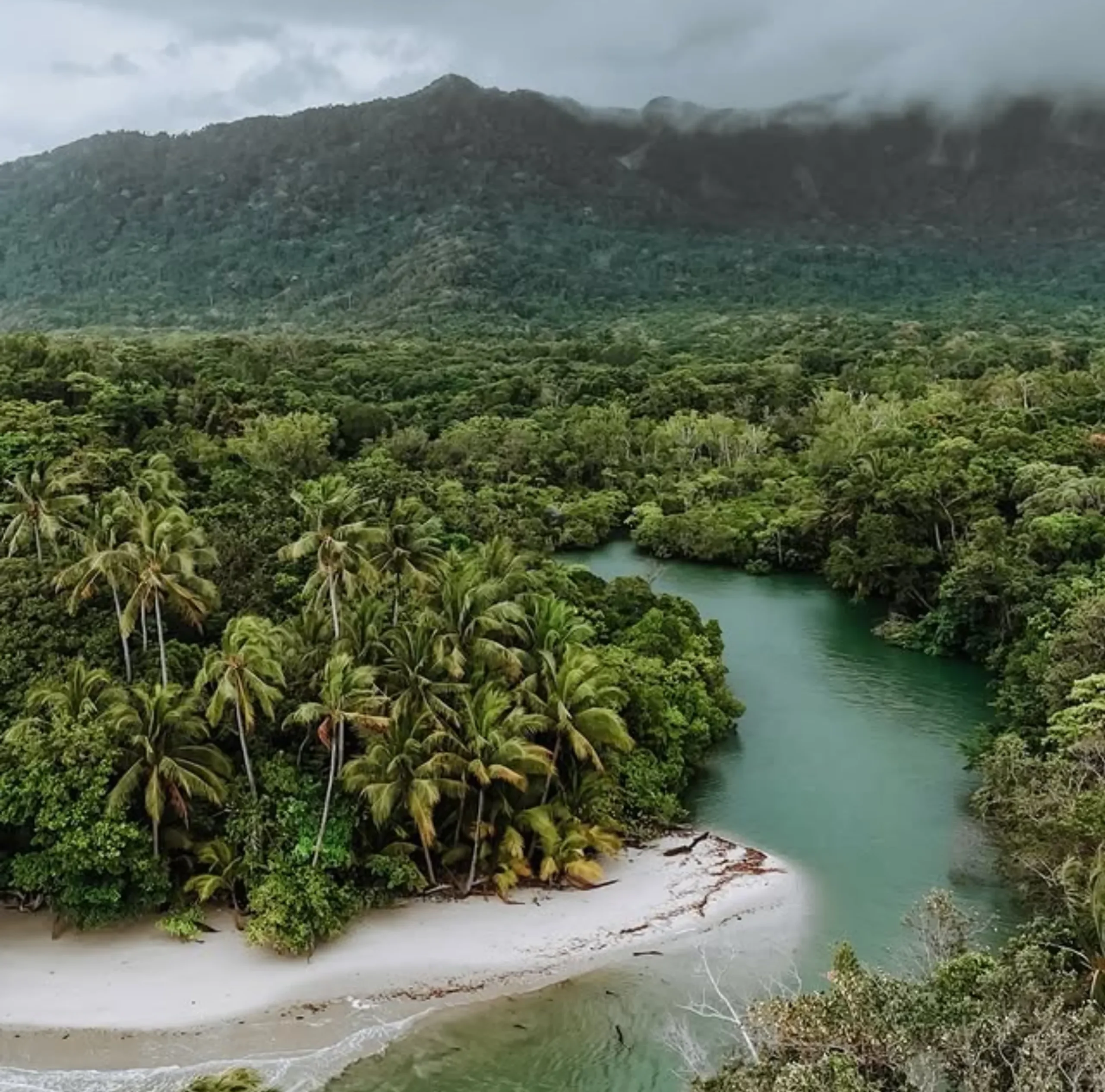 Daintree nocturnal animals tour