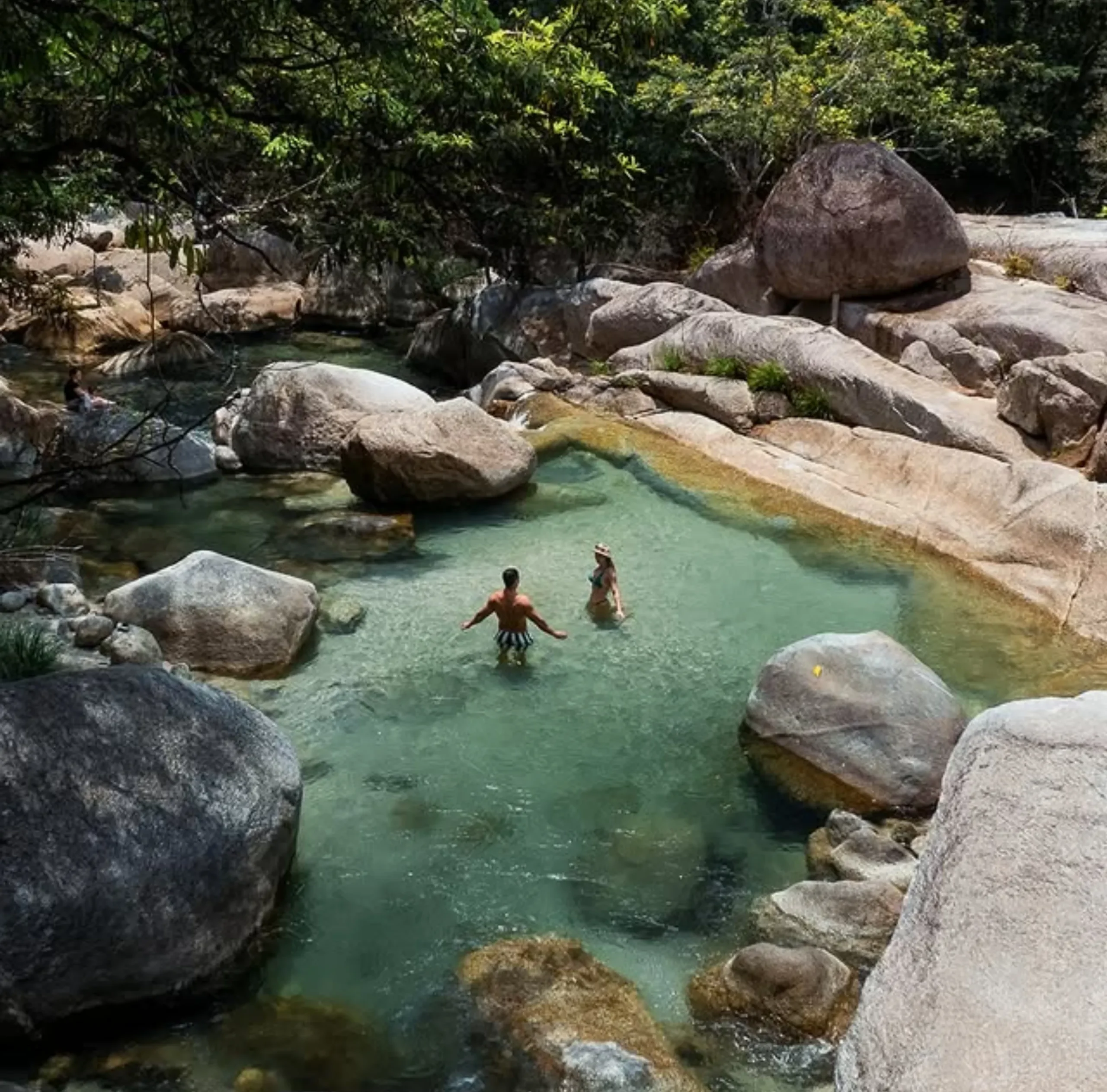 Daintree Rainforest night walk