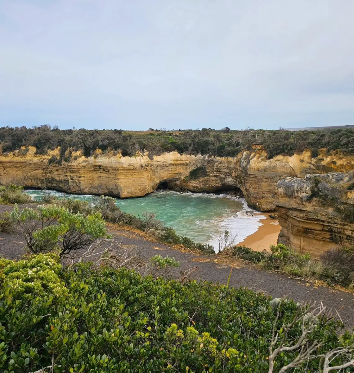 Great Ocean Road day tours